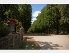 Eine Allee mit hohen, dicht bewachsenen Bäumen auf beiden Seiten, flankiert von einem steinernen Geländer mit großen Blumenkübeln, die mit roten und weißen Blumen bepflanzt sind. Der Weg ist sandig und von Schatten der umliegenden Bäume durchzogen.