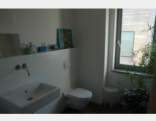 Modernes Badezimmer mit hellen Wänden, einem rechteckigen Waschbecken mit Wandarmatur, einer wandmontierten Toilette und einem Fenster mit Blick nach draußen. Auf einer Ablage stehen Dekorationsgegenstände, und Zimmerpflanzen befinden sich in einer Ecke des Raumes.