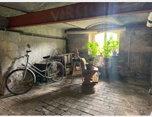 Ein Kellerraum mit brüchigen Steinwänden und -boden, beleuchtet von einem Fenster mit blühenden Topfpflanzen. Links steht ein Fahrrad an der Wand, daneben befinden sich Holzkisten und ein Stuhl mit weiteren Pflanzen.