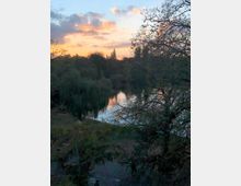 Ein natürlicher Park mit einem kleinen See, umgeben von Bäumen und dichter Vegetation, bei Sonnenuntergang. Der Himmel zeigt orange-rosa Wolken vor einem blauen Hintergrund, die sich im Wasser spiegeln.