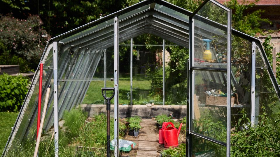 Kleines Gewächshaus mit Aluminiumrahmen und transparenten Glas- oder Kunststoffplatten in einem Garten, mit geöffnetem Eingang und schmalem Mittelweg. Im Inneren stehen Pflanztöpfe und eine rote Gießkanne; im Hintergrund sind Rasen, große Bäume und ein Haus mit rotem Ziegeldach zu sehen.