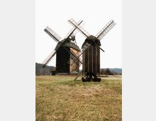 Zwei historische Windmühlen aus Holz stehen auf einer offenen Wiese, umgeben von einer ländlichen Landschaft mit Wald am Horizont. Die Mühlen sind dunkelbraun und haben große, kreuzförmige Rotoren.