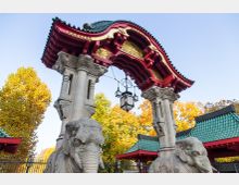 Tor in chinesischer Architektur mit roten und goldenen Verzierungen sowie geschwungenem, grünem Dach, getragen von zwei Steinsäulen mit Elefantenskulpturen; im Hintergrund sind Bäume mit Herbstlaub und ein blauer Himmel sichtbar.