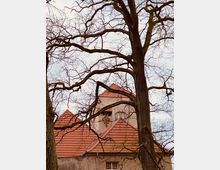 Ein historisches Gebäude mit roten Ziegeldächern, teilweise verdeckt durch die kahlen Äste von Bäumen im Vordergrund. Über einem verzierten Fenster in der Fassade ist ein dekoratives Element erkennbar.