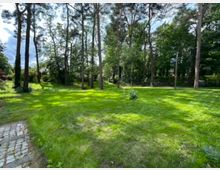 Grüne Rasenfläche mit hohen Bäumen, überwiegend Kiefern, die am Rand eines weitläufigen Gartens stehen. Im Hintergrund sind dichte Büsche, vereinzelte Häuser und ein bewölkter Himmel sichtbar.