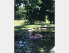 Ein kleines Gewässer im Freien, umgeben von Bäumen und Wiesen, mit einer Person, die auf einem pinkfarbenen Schwimmreifen im Wasser treibt. Die Szene ist teilweise von Schatten bedeckt, und es sind Wasserpflanzen sowie einige Steinkanten sichtbar.