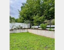 Grüne Rasenfläche in einem kleinen Garten, umgeben von Betonmauern. Im Hintergrund stehen dicht bewachsene Bäume, eine weiße Wand und ein Zaun mit Pflanzbeeten davor.