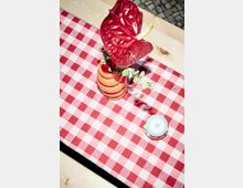 Ein Holztisch mit rot-weiß kariertem Tischtuch, darauf eine rote Vase mit einer großen roten Blüte und grünen Zweigen sowie ein kleiner Behälter mit blauem Deckel. Der Hintergrund zeigt Pflastersteine.