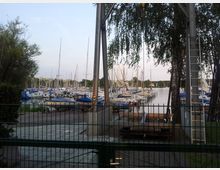 Ein Hafen mit zahlreichen Segelbooten und Yachten, deren Masten in die Höhe ragen, umgeben von Bäumen und geführt von schmalen Stegen. Im Vordergrund ist ein Metallzaun, hinter dem einige Boote auf Anhängern stehen, und im Hintergrund erstreckt sich ein ruhiger See mit weiterer Uferbebauung.