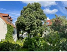 Wohngebiet mit üppiger Vegetation, großen Bäumen und dichter Bepflanzung. Im Hintergrund sind zwei Wohnhäuser mit roten Ziegeldächern und weißen Fassaden zu sehen, eines davon mit einem großen runden Fenster im Dachgeschoss.