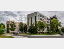 Mehrstöckige Wohnhäuser in einer Wohnsiedlung mit Balkonen, umgeben von Bäumen und Grünflächen. Am Straßenrand sind Autos geparkt, und ein Straßenschild zeigt den Namen „Rudolf-Breitscheid-Straße“.