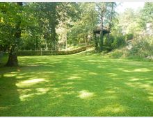 Weitläufiger Garten mit einer großen, gepflegten Rasenfläche, umgeben von Bäumen und Sträuchern. Im Hintergrund ist ein Baumhaus zu sehen, das in die Baumkronen integriert ist.