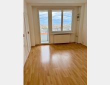 Ein leerer Raum mit hellem Laminatboden, weißen Wänden und einem großen Fenster mit Balkontür, durch das eine Aussicht auf eine Stadtlandschaft unter bewölktem Himmel zu sehen ist. Unter dem Fenster befindet sich ein weißer Heizkörper.