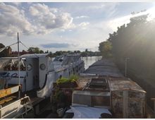 Eine Uferansicht mit mehreren festgemachten Booten, darunter weiße Hausboote mit Pflanzen auf dem Deck. Im Hintergrund sind ein Fluss, Bäume und ein Backsteingebäude zu sehen, unter einem teils bewölkten Himmel mit Sonnenstrahlen.