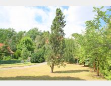 Grüne Gartenlandschaft mit vereinzelten Bäumen und Büschen, einem geschwungenen gepflasterten Weg und einem Zaun im Hintergrund. Am Rand sind Hausdächer mit roten Dachziegeln teilweise sichtbar, umgeben von dichter Vegetation.