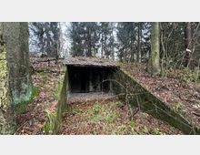 Halb im Boden versenkte alte Betonstruktur mit einer offenen Tür, nummeriert mit "42", von feuchtem Laub und Moos bedeckt, umgeben von dichtem Wald mit kahlen Bäumen und Unterholz.