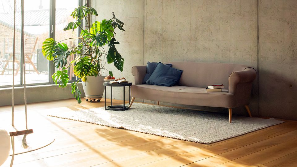 Helles Wohnzimmer im Loft-Stil mit Sichtbetonwand, großen bodentiefen Fenstern und Holzdielenboden. Vor dem Fenster stehen eine große Topfpflanze und ein kleiner runder Beistelltisch neben einem Sofa auf einem hellen Teppich.