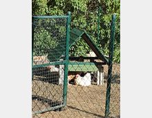 Hühnerstall in einem umzäunten Gehege mit mehreren Hühnern, umgeben von Grasboden und dichter Vegetation im Hintergrund. Ein grünes Schild mit der Aufschrift „Hühnerhotel“ ist an der Vorderseite des Stalls angebracht.