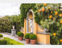 Ein gepflegter Garten mit einer gelben Wand, die von grünem Efeu bewachsen ist, enthält eine weiße Statue in einer bogenförmigen Nische. Im Vordergrund stehen terrakottafarbene Pflanztöpfe mit grünen Buchsbaumkugeln, und rechts hängen orangefarbene Früchte an einem Baum.