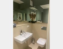 Kleines Badezimmer mit beiger Wand- und Bodenfliese, wandhängendem Waschbecken und WC. Ein großer Wandspiegel vergrößert optisch den Raum, während Deko-Gräser in schwarzen Töpfen auf der Ablage stehen.