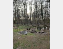 Waldgebiet mit kahlen Laubbäumen im Winter oder frühen Frühling, im Vordergrund eine Feuerstelle aus Steinen und eine kleine Rasenfläche, dahinter ein schmaler Bach oder Teich. Die Umgebung wirkt naturnah und ruhig.