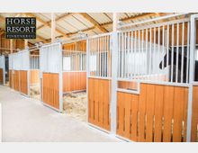 Innenansicht eines modernen Pferdestalls mit Boxen, die aus Holzverkleidungen und Metallgittern bestehen. Der Boden ist aus Pflastersteinen, und die Boxen sind mit Stroh ausgelegt; ein Pferd ist in einer der Boxen zu sehen.