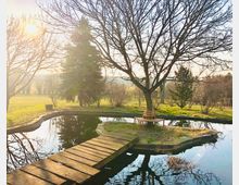 Ein kleiner Teich mit einem Holzsteg, der zu einer Insel mit einem blattlosen Baum und einer umlaufenden Sitzbank führt, eingebettet in eine parkähnliche Wiesenlandschaft bei Sonnenuntergang.