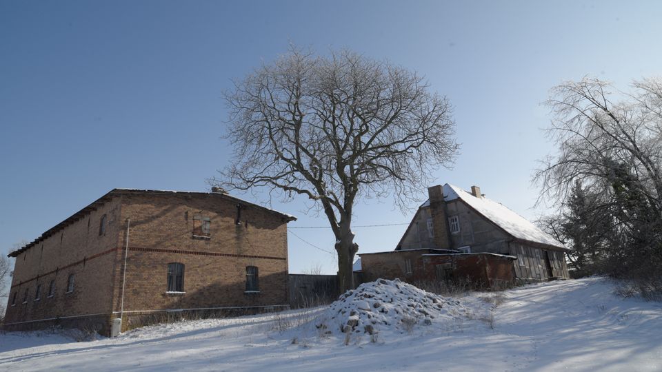 Verschneiter Hof mit zwei ländlichen Gebäuden, links ein Backsteinbau und rechts ein älteres Haus mit Satteldach. Dazwischen steht ein großer, kahler Baum auf einer schneebedeckten Böschung unter klarem Himmel.