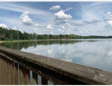 Ein ruhiger See mit dichter Baumreihe am Ufer, reflektierendem Wasser und leicht bewölktem Himmel. Im Vordergrund ein hölzernes Geländer einer Aussichtsplattform oder Brücke.