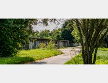 Eine Reihe kleiner, flacher Garagen an einem gepflasterten Weg, umgeben von dichtem Grün mit Bäumen und Wildwuchs im Vorder- und Hintergrund. Die Umgebung wirkt ländlich und stark bewachsen.