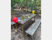 Ein Holztisch mit Bänken im Freien, dekoriert mit bunten Tellern, Tassen, Luftballons und Getränkeflaschen, umgeben von Bäumen in einem Waldgebiet. Im Hintergrund liegen weitere Holztische, Spielgeräte und verstreute Gegenstände.