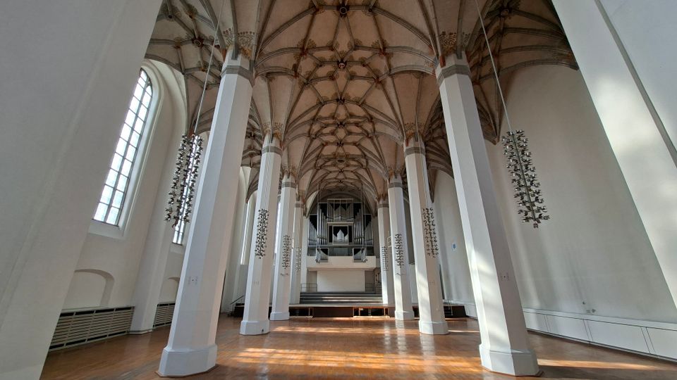 Innenraum einer großen Kirche mit hohen weißen Pfeilern, langen Seitenfenstern und einem reich gegliederten gotischen Kreuzrippengewölbe. Am Ende des Mittelschiffs steht eine Empore mit einer großen Orgel über einer erhöhten Bühne.