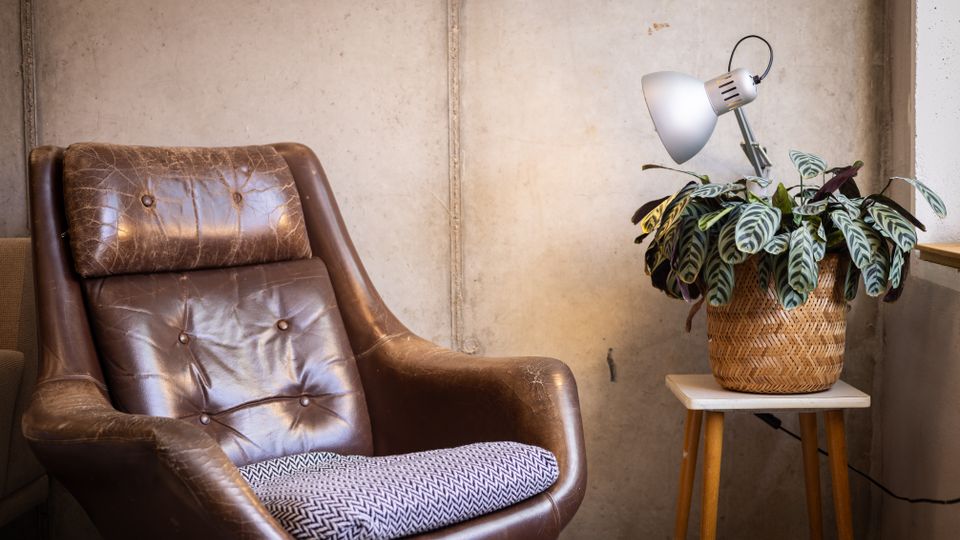 Brauner Ledersessel mit sichtbaren Gebrauchsspuren vor einer Betonwand, daneben ein kleiner Holztisch mit einer geflochtenen Pflanzenschale und einer Zimmerpflanze sowie einer schwenkbaren Lampe.