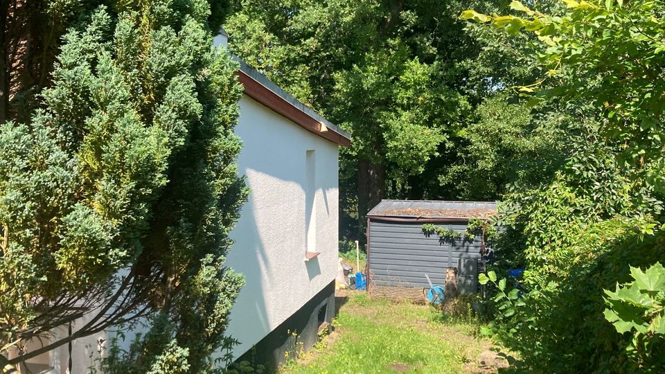Schmaler, grasbewachsener Gartenweg neben einem weißen Gebäude, links von hohen Nadelgehölzen und rechts von dichtem Laub und Sträuchern gesäumt. Am Ende steht ein kleines graues Gartenhaus vor hohen Bäumen im Hintergrund.