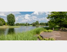 Ein Park mit einem See inmitten von grünen Bäumen und weitläufigen Wiesen. Im Vordergrund befinden sich eine gepflasterte Fläche mit Steinblöcken sowie Schilf und andere Pflanzen entlang des Ufers.