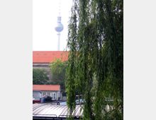 Ein Stadtbild mit Blick auf den Berliner Fernsehturm im Hintergrund, teilweise verdeckt durch hängende Äste eines Baumes. Im Vordergrund sind Gebäude mit roten Ziegeldächern und ein gewelltes Metalldach sichtbar.