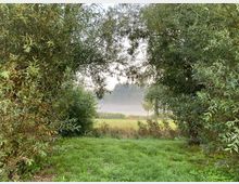 Grüne Wiese mit dichter Vegetation aus Bäumen und Sträuchern, eingerahmt von überhängenden Zweigen. Im Hintergrund ist eine neblige Landschaft mit Feldern und vereinzelten Bäumen zu erkennen.