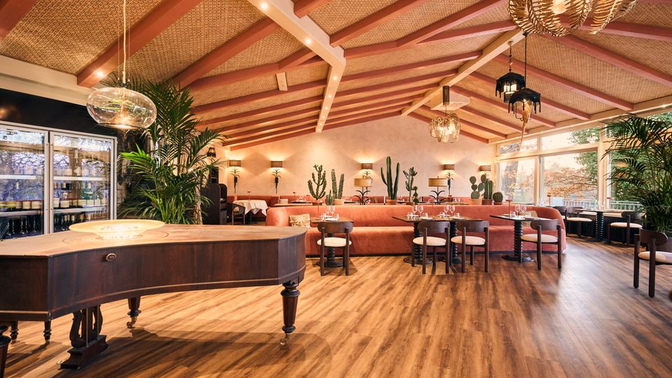 A warm and modern restaurant interior with wooden flooring, coral-toned seating, and tables set with glassware. The space features a high ceiling with exposed beams, decorative hanging lights, large windows offering natural light, potted plants, and cactus accents throughout.