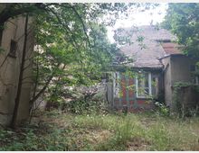 Verwilderter Garten mit einem stark überwucherten und teilweise verfallenen Fachwerkhaus im Hintergrund. Die Umgebung ist von dichten Bäumen und Büschen geprägt, mit sichtbarer Vegetation, die das Gebäude umgibt.