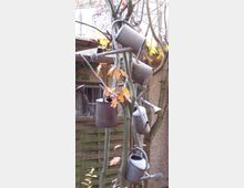 Ein kleiner Baum, an dessen Ästen mehrere alte Metall-Gießkannen hängen, umgeben von herbstlichem Laub, vor einer Hauswand mit einem Fenster und einem Holzzaun im Hintergrund.