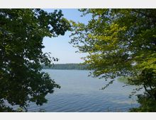 Ein See mit klarem, blauen Wasser, umrahmt von dichten, grünen Bäumen, die Äste und Blätter ins Bild ragen; im Hintergrund ist eine von Wald bewachsene Uferlinie zu sehen.