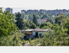 Blick auf eine begrünte Kleingartenanlage mit einem einfachen Gartenhaus im Vordergrund, umgeben von Bäumen und Sträuchern. Im Hintergrund sind moderne Wohngebäude sowie kleinere Häuser mit roten Dächern sichtbar.