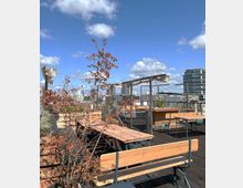 Dachterrasse mit Holzbänken und Tischen, umgeben von Pflanzkübeln mit Sträuchern. Im Hintergrund sind moderne Bürogebäude und ein klarer Himmel mit vereinzelten Wolken zu sehen.