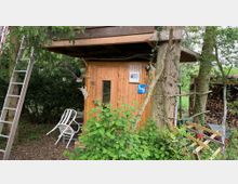 Holzhütte auf Stelzen inmitten eines bewaldeten Gartens, mit einem Baum integriert in die Konstruktion. Im Vordergrund stehen Gartenmöbel, eine Leiter lehnt gegen einen Baum, und auf der rechten Seite ist ein Stapel Feuerholz erkennbar.