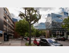 Straßenszene in einer Stadt mit Bürogebäuden: Links ein mehrstöckiges Gebäude mit brauner Fassade und dunklen Fenstern, rechts ein modernes Gebäude mit komplett verglaster Fassade. Dazwischen verläuft eine Straße mit parkenden Autos, Baumreihen und Fußweg.