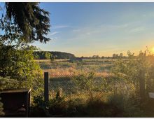 Blick über eine eingezäunte Wiese mit hohem Gras und einzelnen Büschen; in der Ferne sind eine kleine Hütte, Baumreihen und Felder zu sehen. Links rahmen Äste eines Nadelbaums die Szene, rechts steht die tief stehende Sonne am klaren Himmel.