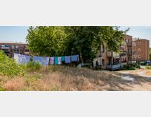 Wohngebiet mit mehrstöckigen Backsteinhäusern, Balkonen und umgebendem Grün. Im Vordergrund eine Wäscheleine mit aufgehängter Kleidung, trockene Grasflächen und einige schattenspendende Bäume.