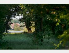 Eine grüne Waldszene mit dichtem Laubwerk, durch das im Hintergrund ein großes Fachwerkgebäude sichtbar ist, das an einem See liegt. Das Gebäude ist von Bäumen und Grasflächen umgeben, die eine ruhige, natürliche Atmosphäre schaffen.