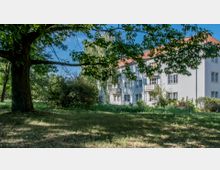 Wohngebäude mit weißer Fassade und roten Ziegeldächern, umgeben von Bäumen, Büschen und einer Wiese im Vordergrund. Ein großer Baum mit ausladenden Ästen wirft Schatten auf die Grünfläche.