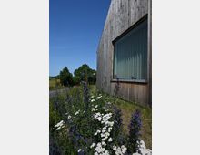 Holzhaus mit moderner Architektur und großem Fenster, umgeben von einer blühenden Wildblumenwiese. Im Hintergrund sind ein Feld, Bäume und ein Schild an einer Landstraße zu sehen, unter klarem, blauem Himmel.